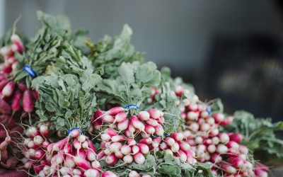 Canon City Farmer’s Market